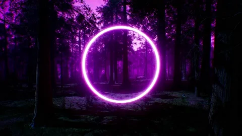 Glowing Purple Circle Light in Night Forest Stock Footage 159876774
