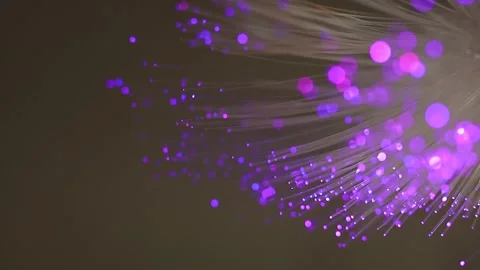 Glowing purple fiber optic cables transmit high speed digital data Stock Footage 346298024