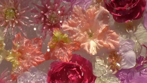 Glowing rain drops falling down on romantic colourful flowers Видео 112251680