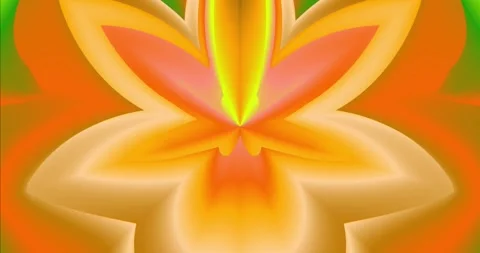 Glowing rays of warm tones. Flower Stock Footage 277192038