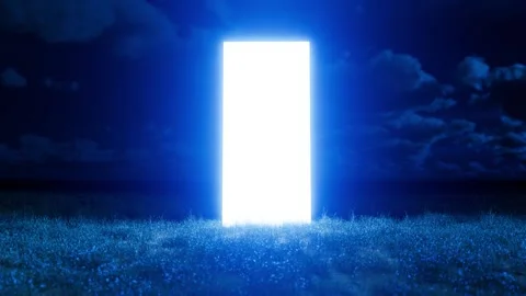 Glowing rectangular door appearing in a meadow at night Stock Footage 310793290