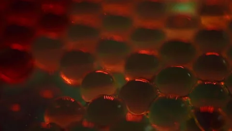 Glowing Red Alien Eggs 스톡 동영상 134575863