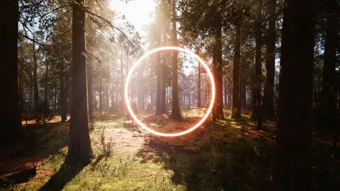 Glowing Red Circle Light in Sunshine Forest Stock Footage 159876817