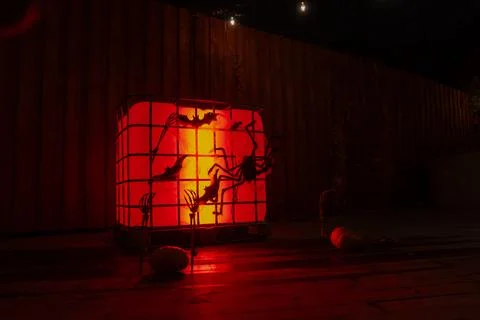 Glowing red cube light with black spiders and bats arranged Stock Photos