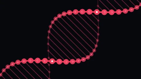 Glowing Red DNA Helix Rotating on Black Background Video stock 341776767
