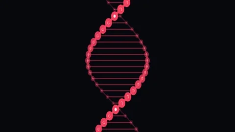 Glowing Red DNA Helix Rotating on Black Background Video stock 341776779