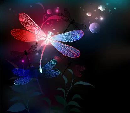 Glowing red dragonfly Stock Illustration