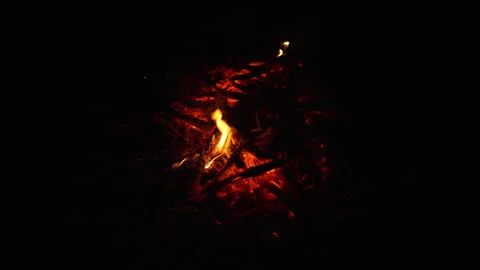 Glowing red embers and smoldering firewood with flickering orange flames Stock Footage 341484024