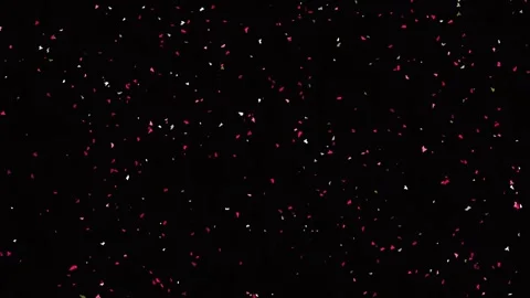Glowing red particles falling against dark background, cinematic abstract f.. Stock Footage 342206009