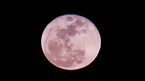 Glowing reddish full moon in a dark night sky Stock Footage 153655504