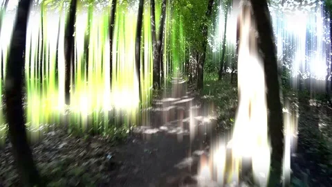 Glowing Road in Forest 動画素材 75611105