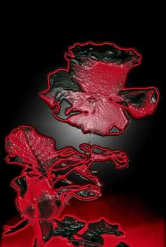 Glowing rose Stock Illustration