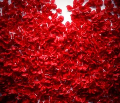 Glowing rose petals background Stock Illustration