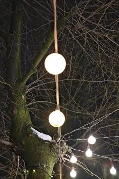 Glowing round string lights hanging on a dark tree during winter night Stock Photos