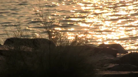 Glowing of The Sea Stock Footage 46223078