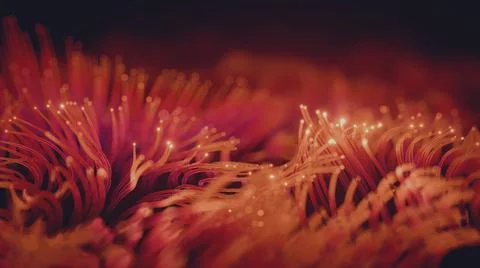 Glowing Seaweed 1 Illustrazione stock