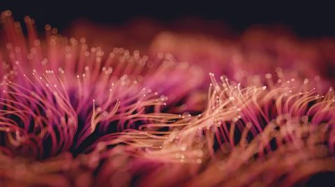 Glowing Seaweed 2 Illustrazione stock