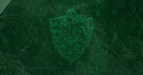 Glowing shield emerging from green particles pulsating in circuit scene, with Illustrazione stock