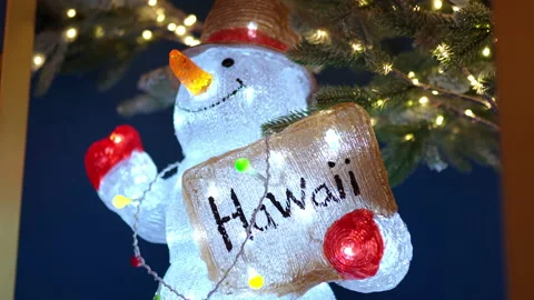 Glowing snowman in straw hat holding in hands board with Hawaii inscription Stock Footage 140201414