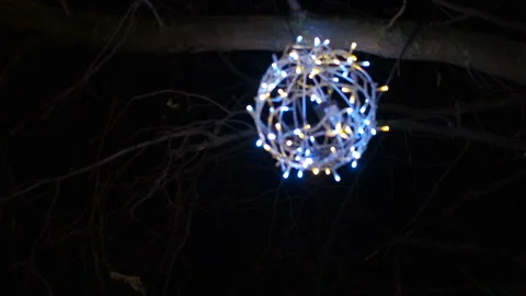 Glowing sphere hangs from tree branch at night Stock Footage 316215173