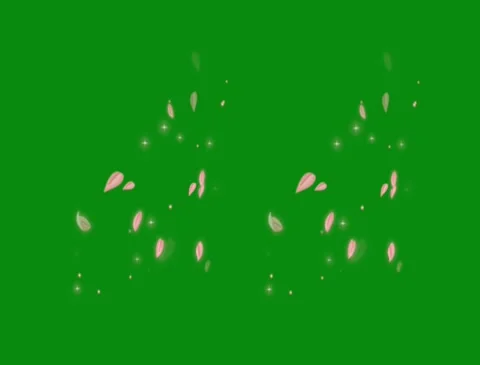 Glowing Star Motion Sparkle Effect for Video Projects Stock Footage 304880046