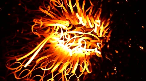 Glowing steel wool in the flame of a  blowpipe. Stock Footage 63336729