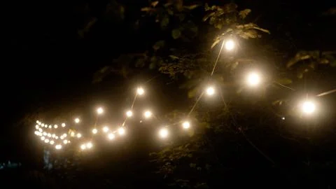 Glowing string lights hanging in dark garden at night with warm bulbs Stock Photos