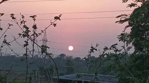 Glowing Sun Setting Behind Trees and Power Line Horizon Background Stock-Fotos