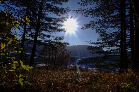 Glowing sun shining through the grees in the mountains Stock Photos