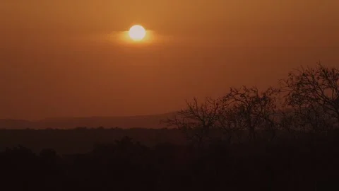 Glowing Sunset and Tree Silhouettes Over Tikal Rainforest Stock Footage 345677510