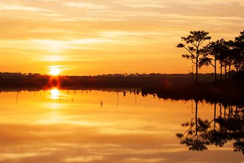 Glowing sunset into pine forest and autumn lake. Stock Photos