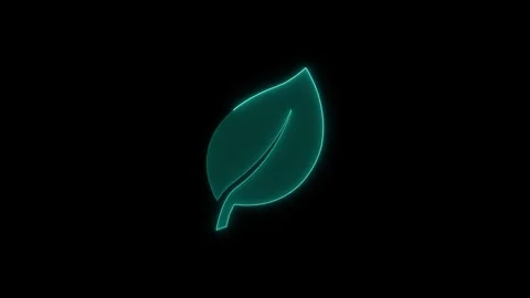 Glowing teal leaf neon icon flickering on solid black background simple dig.. Stock Footage 345549599