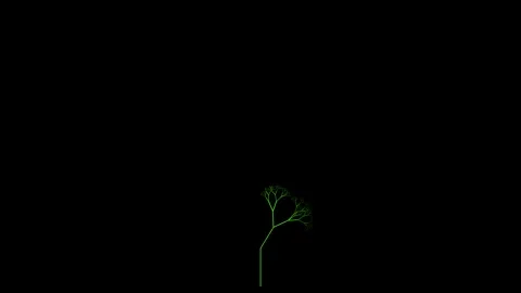 Glowing tech tree branches growing on black background overlay 4K Stock Footage 336485900