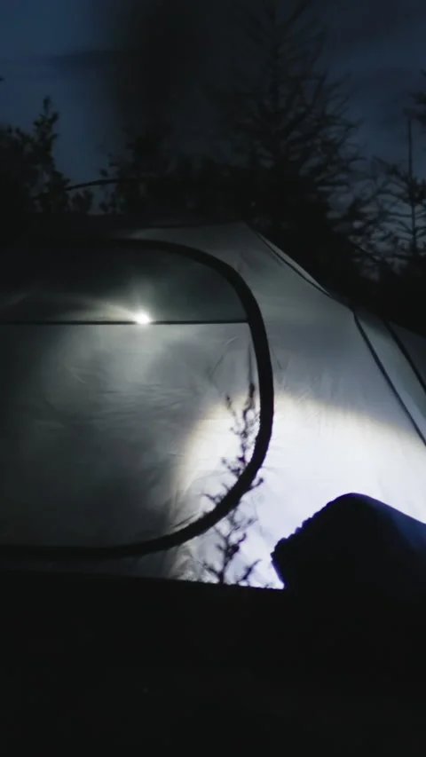A glowing tent lit by flashlight in a serene forest at night under the starr Stock Footage 331513017