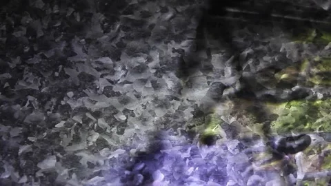 Glowing Tessellations: Geometry &amp; Color Shift Stock Footage 302412629