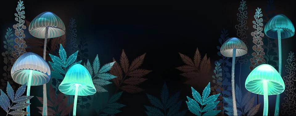 Glowing toadstools banner Stock Photos