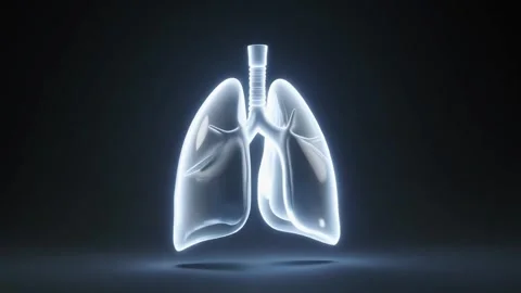 Glowing transparent 3D human lungs animation 스톡 동영상 338321479