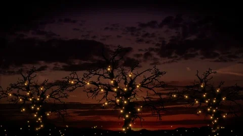 Glowing Tree Motion Background VJ Stock-Footage 72708914