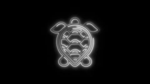 Glowing Turtle Icon and Symbol in HD Video Neon Stock-Footage 304558288