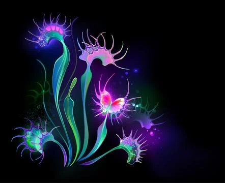 Glowing Venus Flytrap Stock Illustration