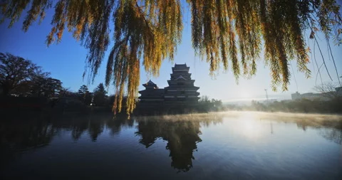 Glowing Weeping Tree Over Matsumoto Castle Pond In Japan Stock Footage 336811983