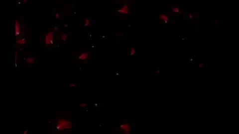 Glowing white neon circle frame with floating red rose petals on black Video stock 341907738