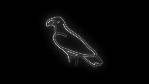 Glowing white neon eagle icon outline on black background symbolizing freed.. Stock Footage 314573504
