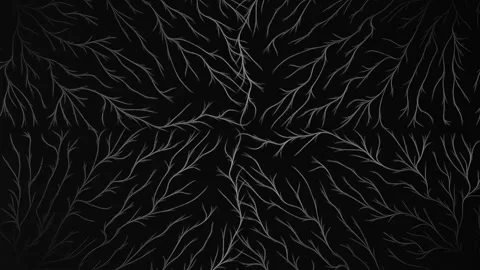 Glowing white neural branch pattern radiating symmetrically from dark center Stock Footage 310720697