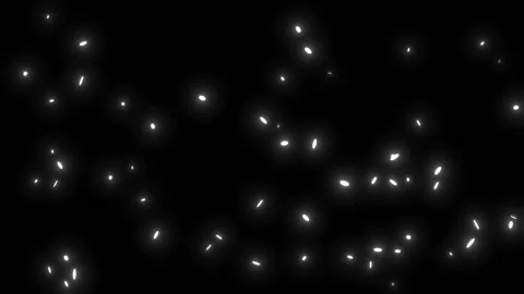 Glowing White Particles Moving in Random Directions. Sparkles Glow. 4K Stock Footage 287939208