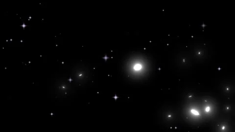 Glowing white petals drifting through shimmering starlight against deep black 動画素材 344237786