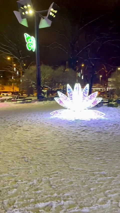 Glowing Winter Art Installation Stock Footage 317061766