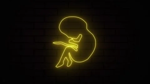 Glowing yellow neon prenatal human child with placenta silhouette isolated .. Stock Footage 296490209