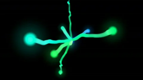 Glowtail Squigglies Stock Footage 662950