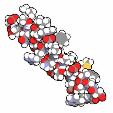 Glucagon-like peptide 2 (glp-2) peptide molecule. its recombinant analog tedu Stock Illustration